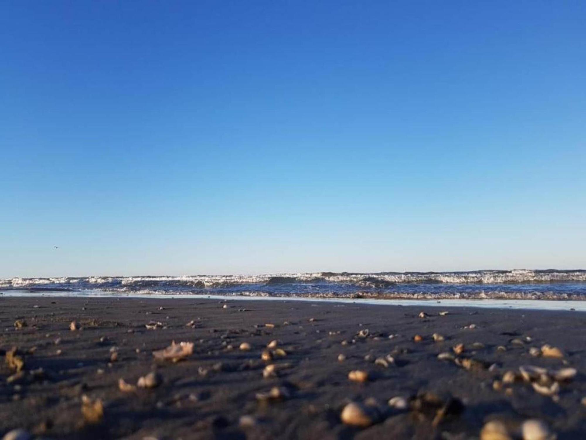 Belvilla By Oyo Luna Pineta Cesenatico Eksteriør billede